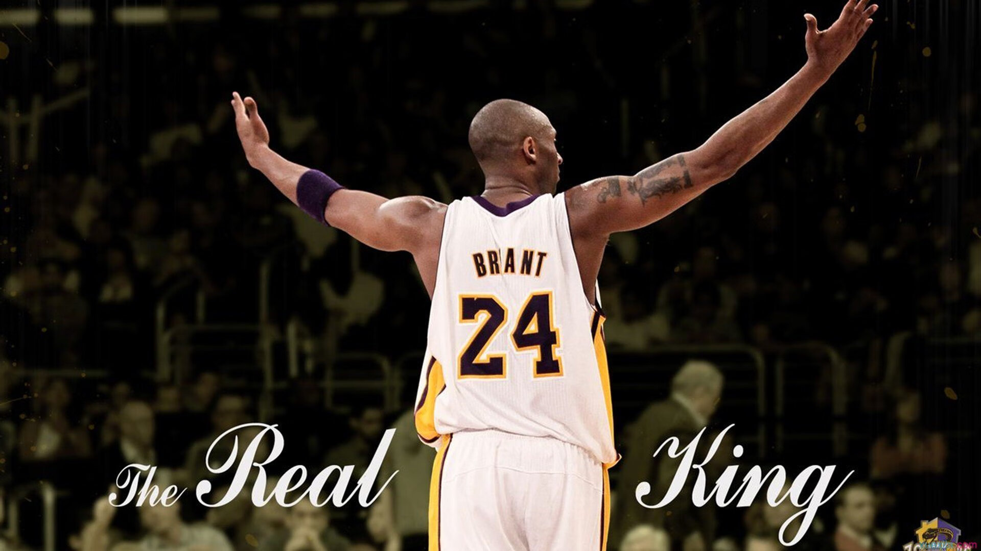 开云体育登录-霍勒假日，从水货到末节之王，他用一记记三分炸醒了沉睡的山西